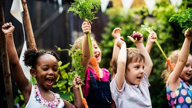 Climatechangeschoolgarden card