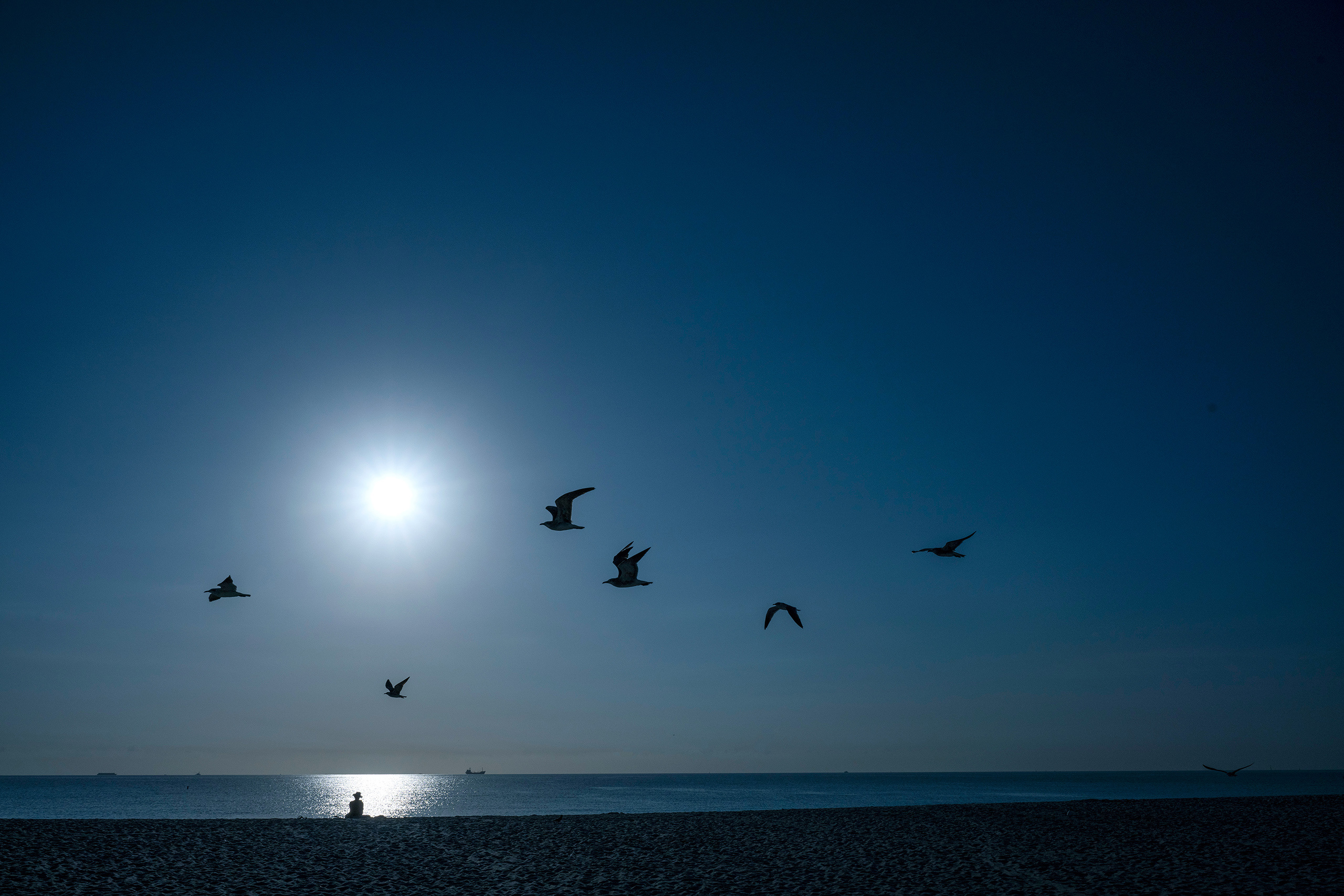 Divided world and climate action