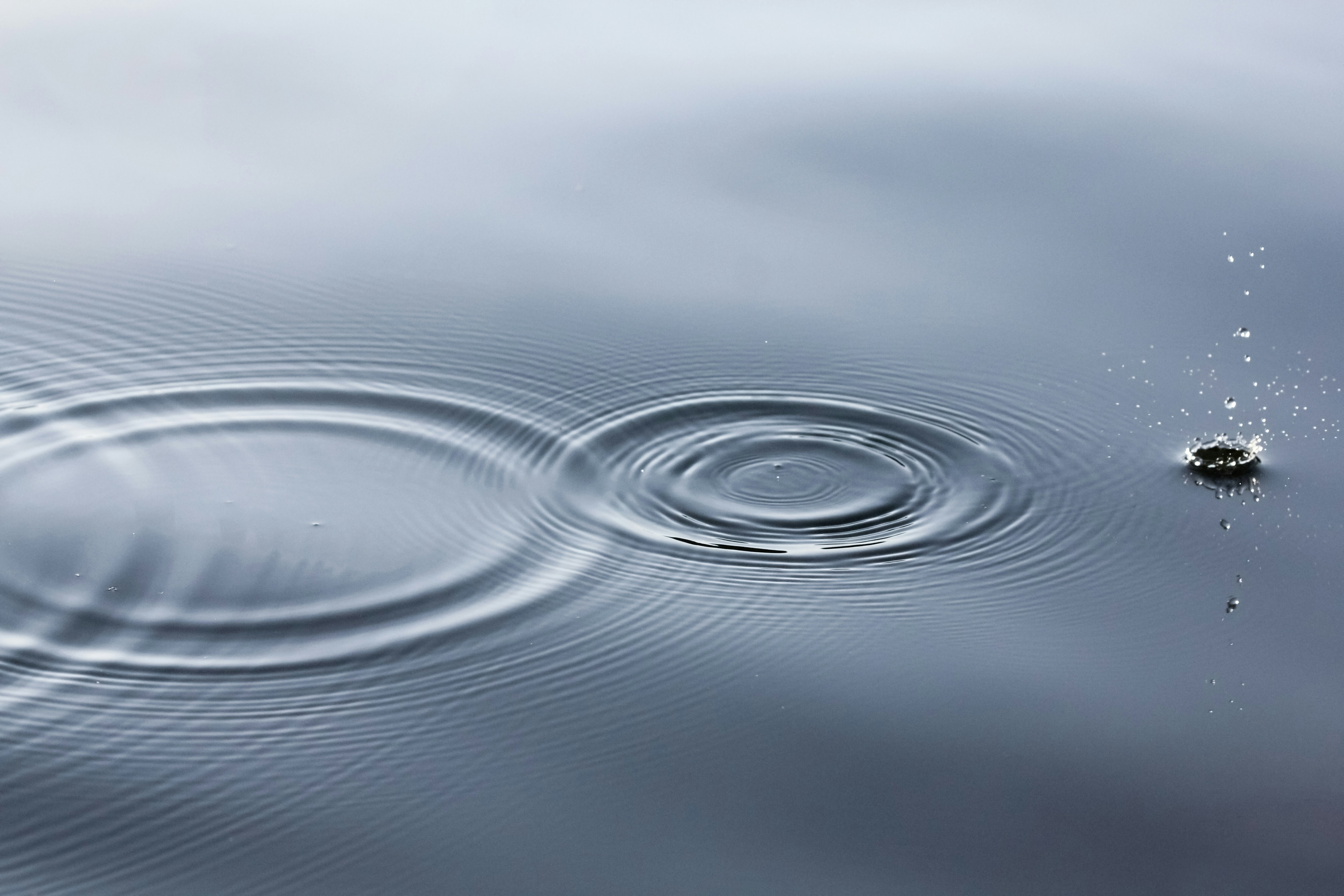 Linus nylund Q5 Qsplu N Zm M unsplash