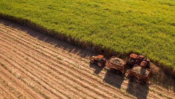 Sugar cane hasvest plantation aerial picture id955191688 2